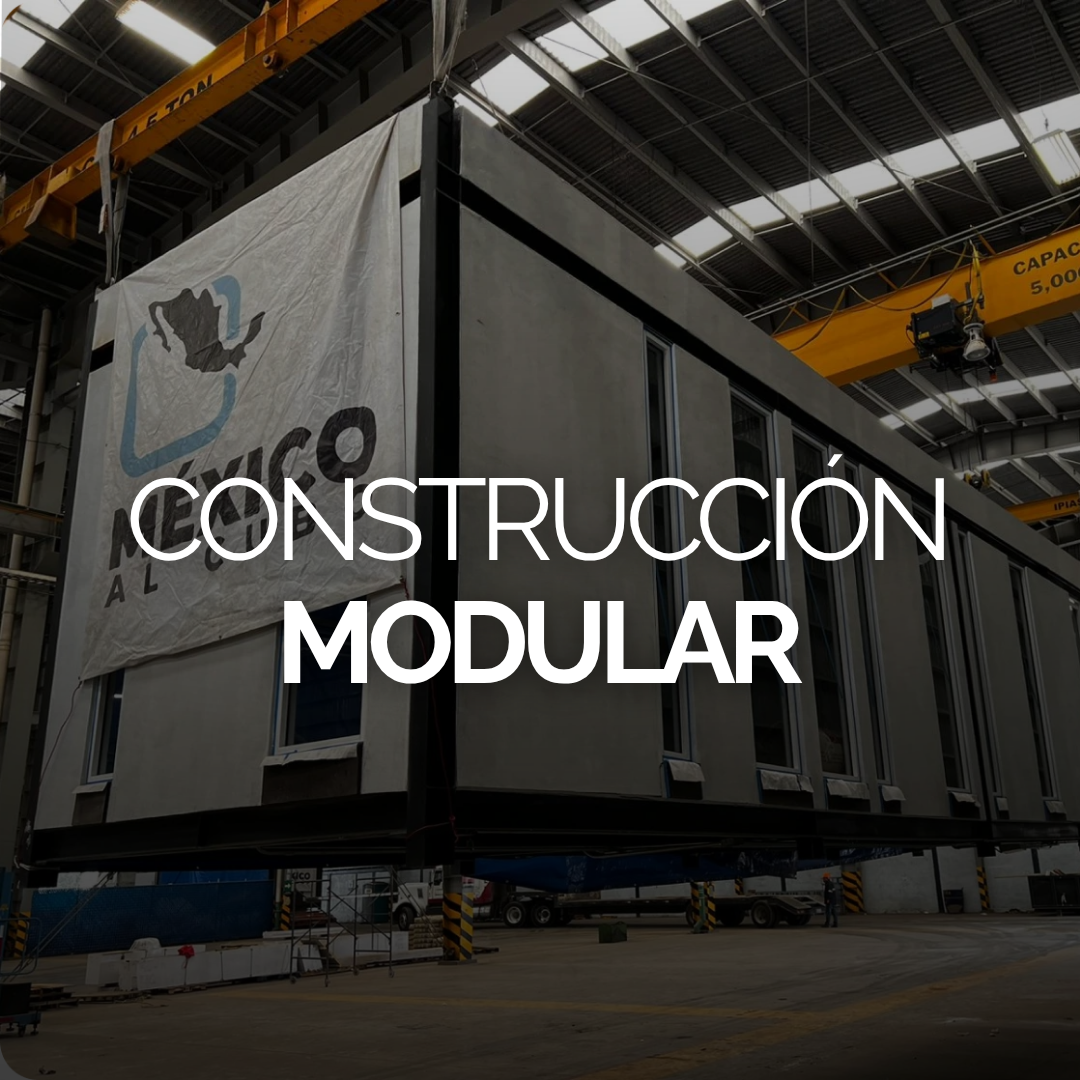 Newsletter Julio 2026